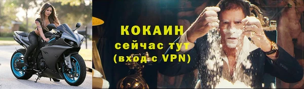 винт Богданович