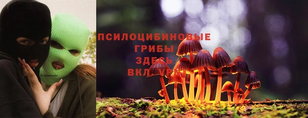 винт Богданович