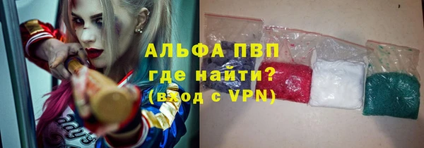 сатива Богородицк
