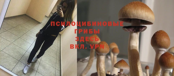 винт Богданович