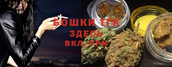 сатива Богородицк