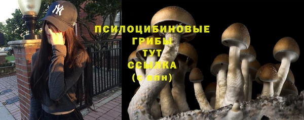 эйфоретик Богородск