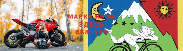 сатива Богородицк