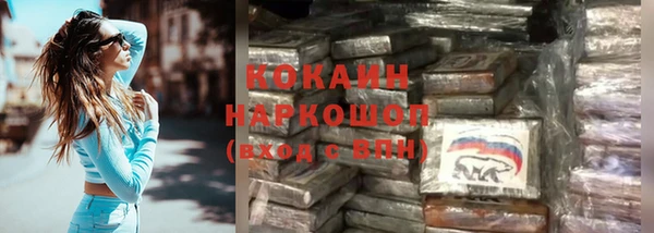 винт Богданович