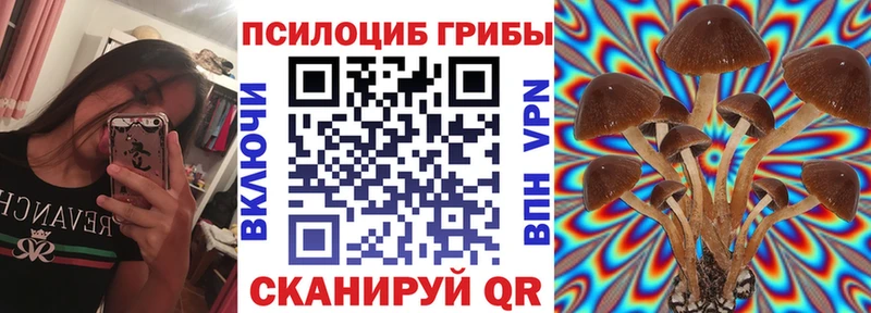 kraken как войти Морозовск Псилоцибиновые грибы Magic Shrooms